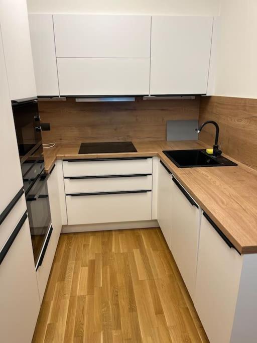 Apartman Holesovice,Balkon,Garaz Praag Buitenkant foto